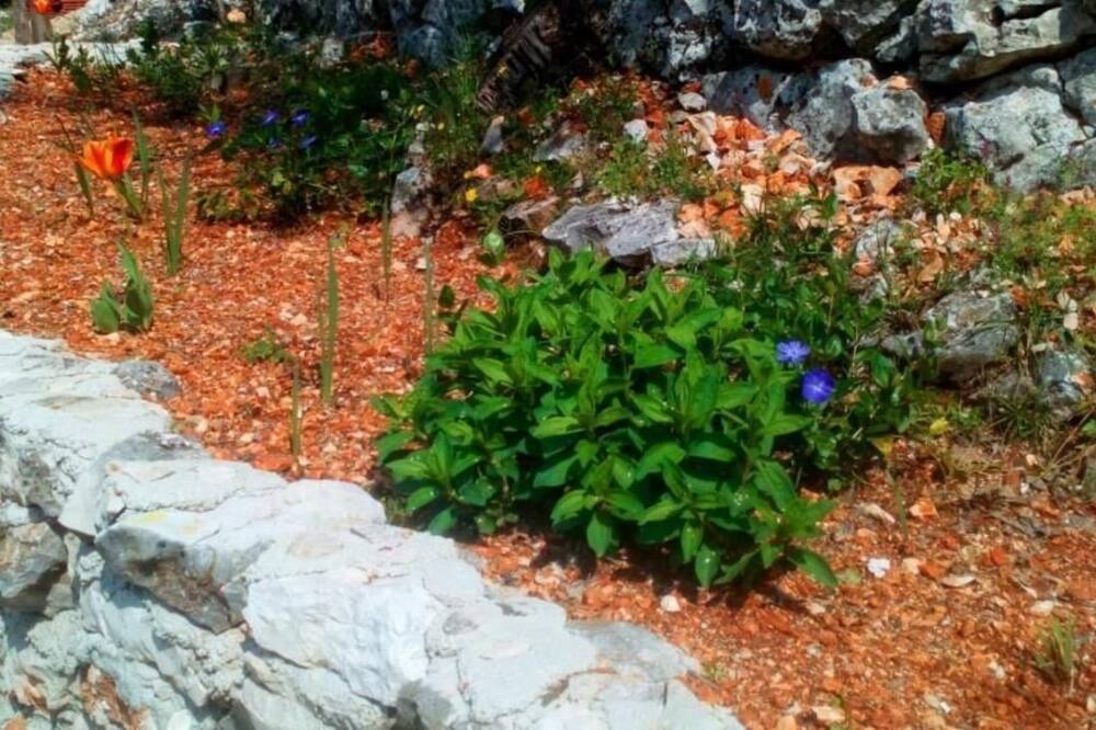 Photo of Outdoor in Labin