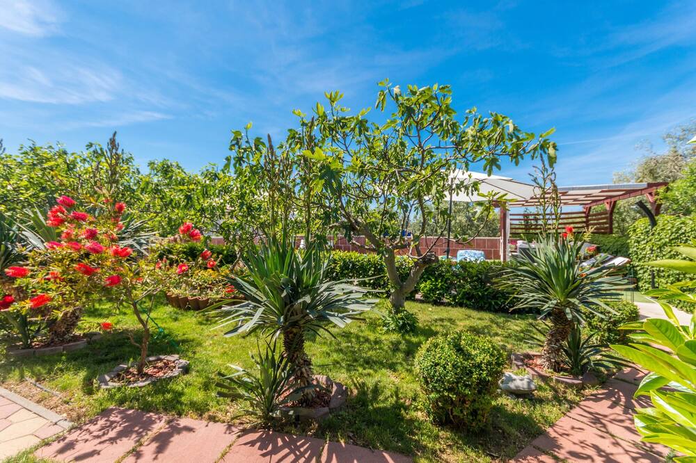 Photo of Outdoor in Polaca