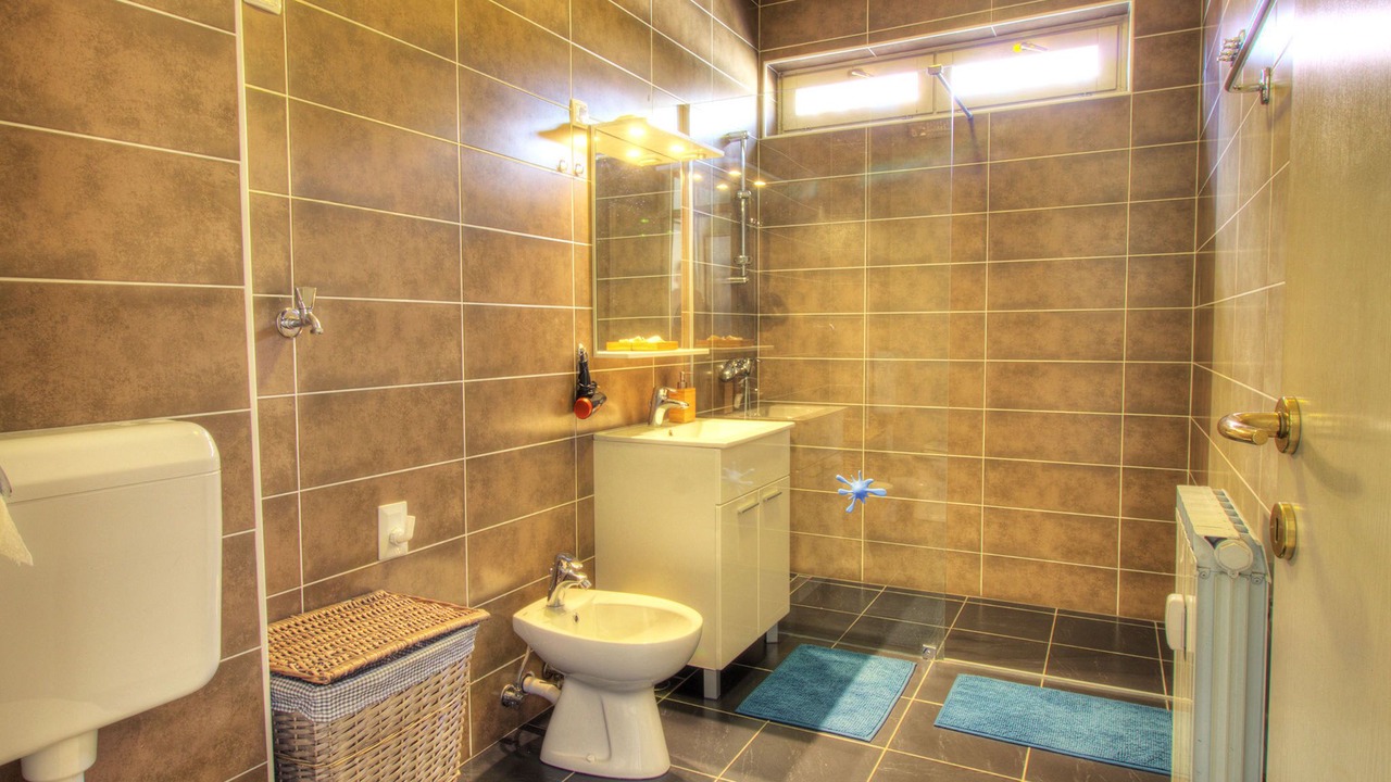 Photo of Bathroom in Ptuj