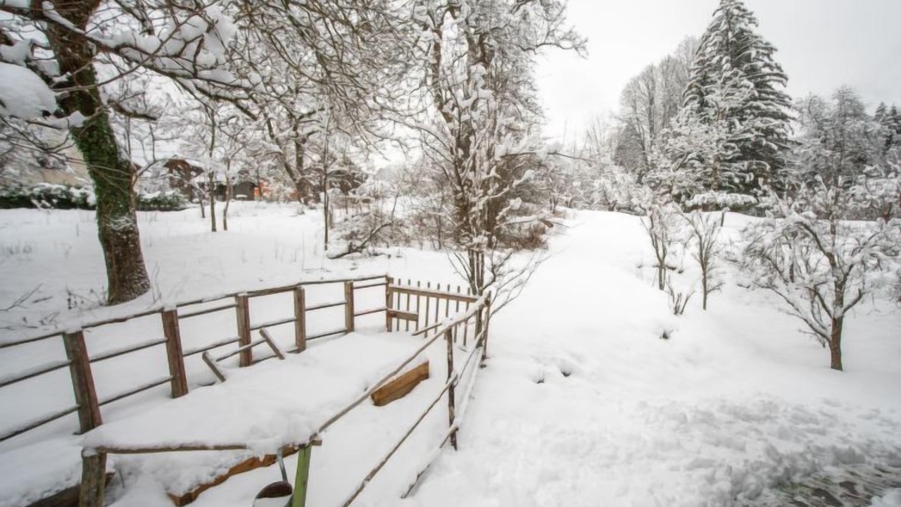 Photo of Outdoor in Brod Moravice