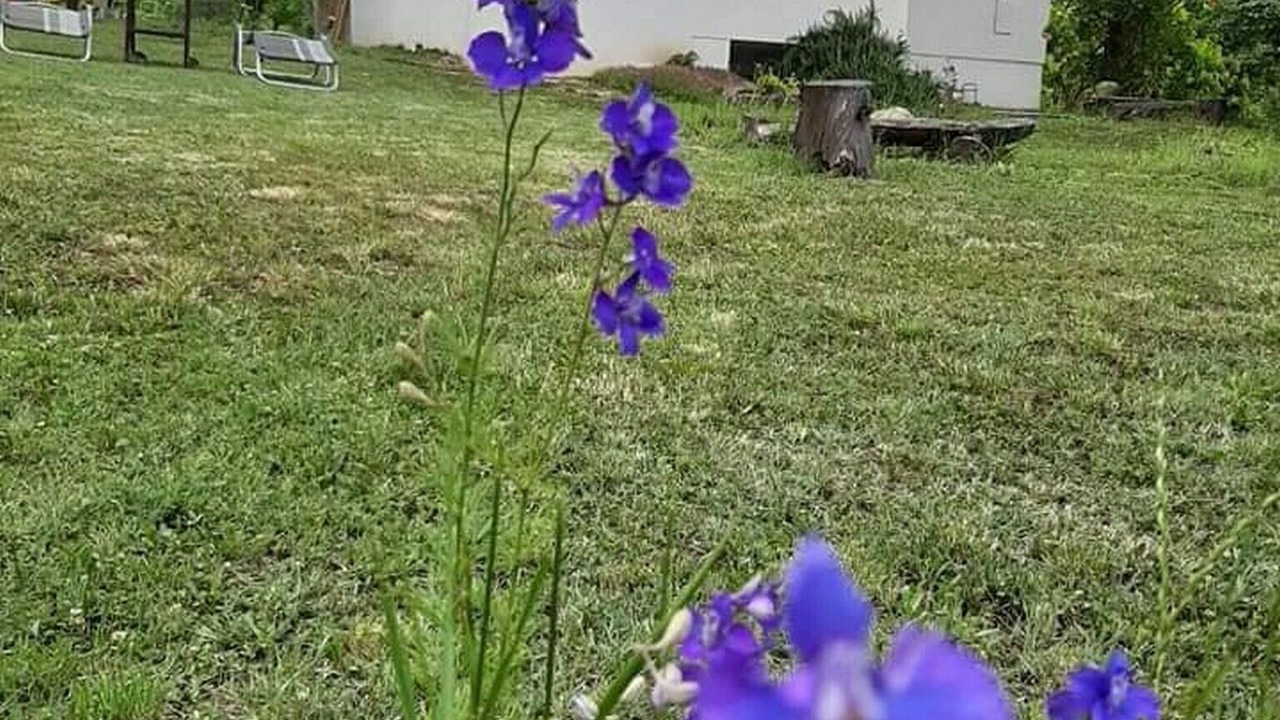 Photo of Outdoor in Suza