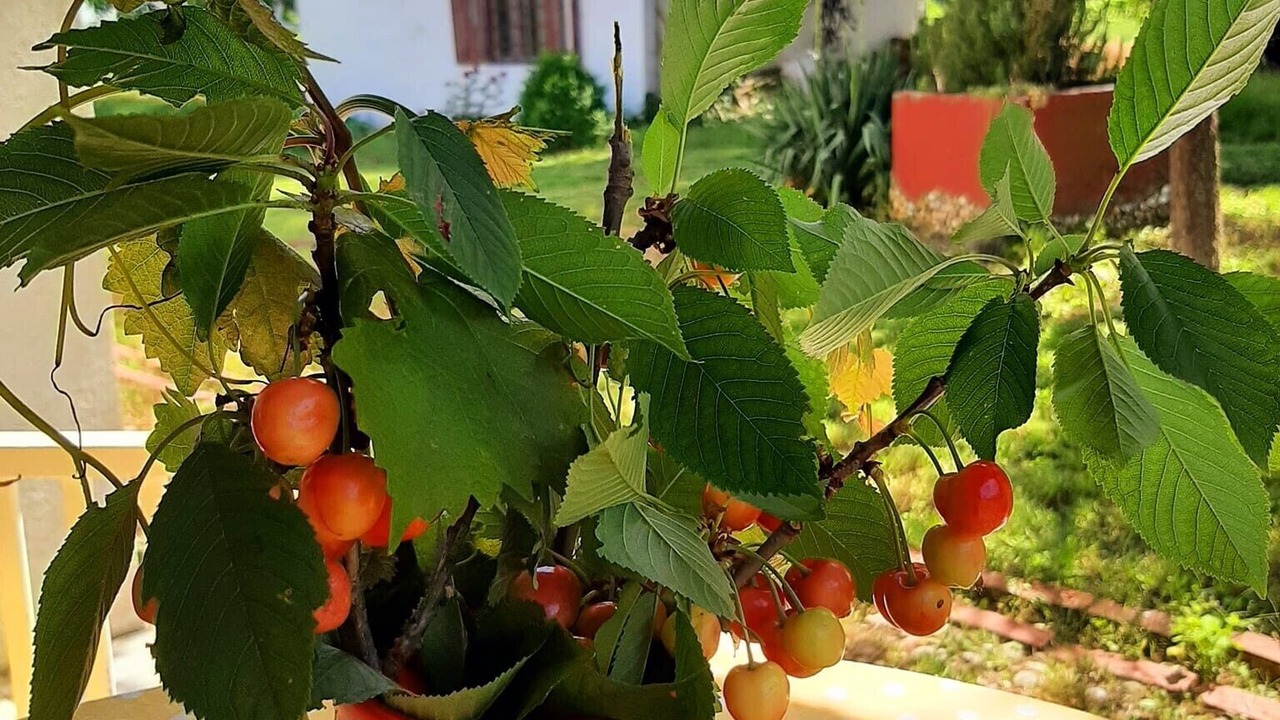 Photo of Outdoor in Suza