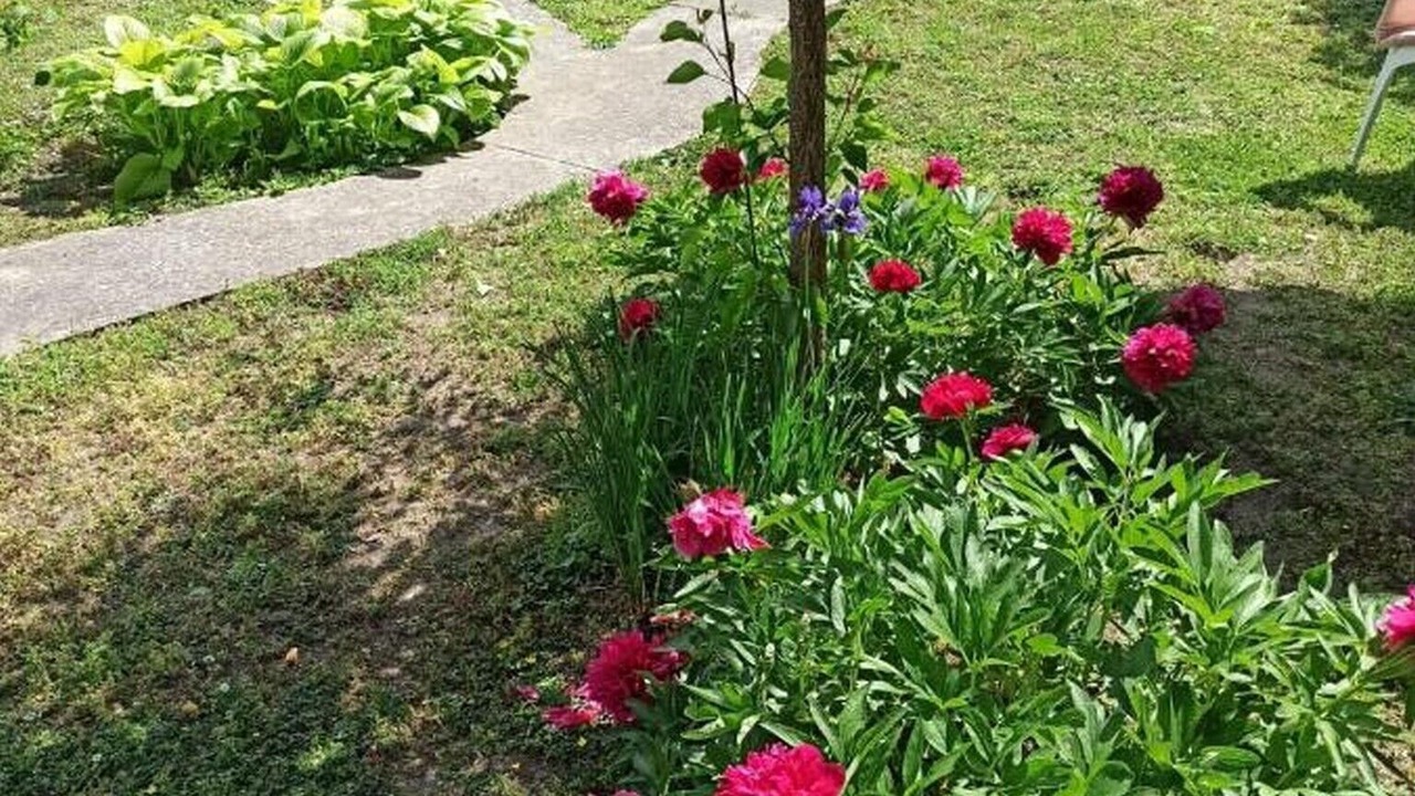 Photo of Outdoor in Osijek