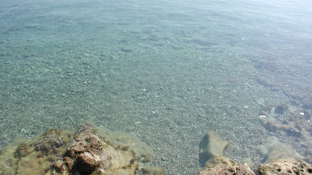 Photo of Others in Cove Basina (Jelsa)