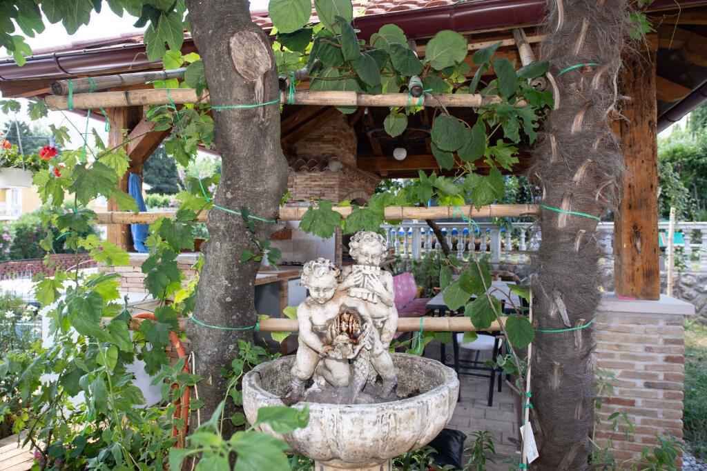 Photo of Outdoor in Ika