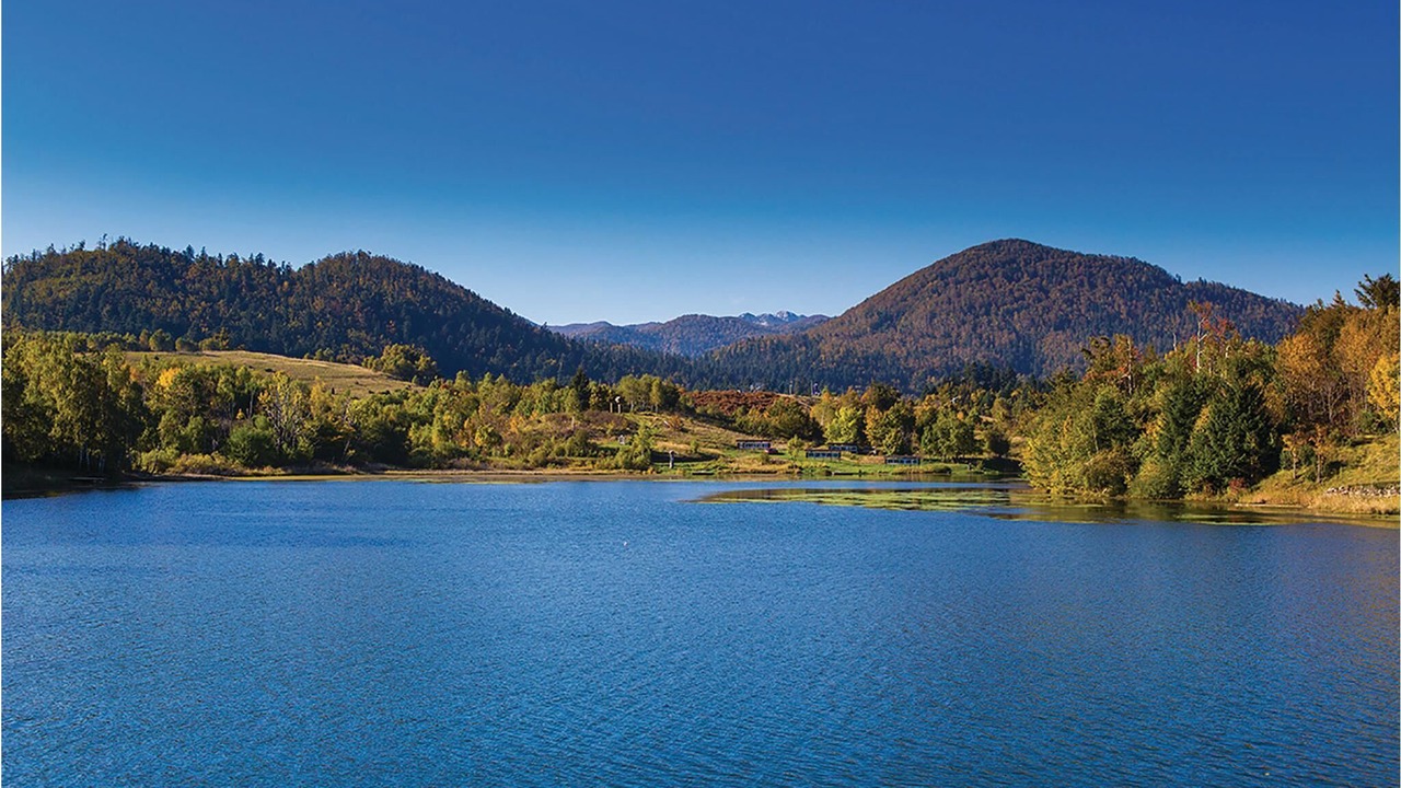 Photo of Outdoor in Plesce