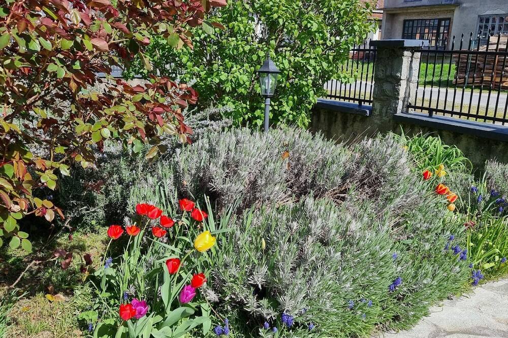 Photo of Outdoor in Bilje