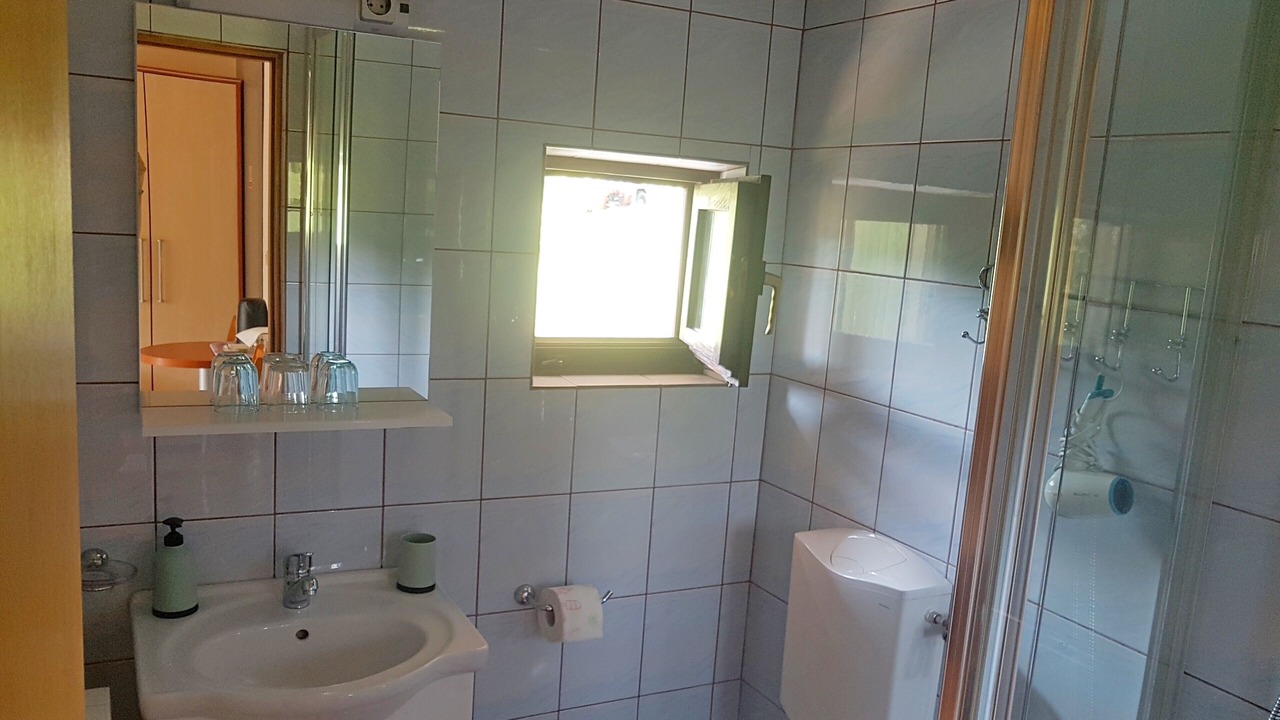 Photo of Bathroom in Seliste Dreznicko
