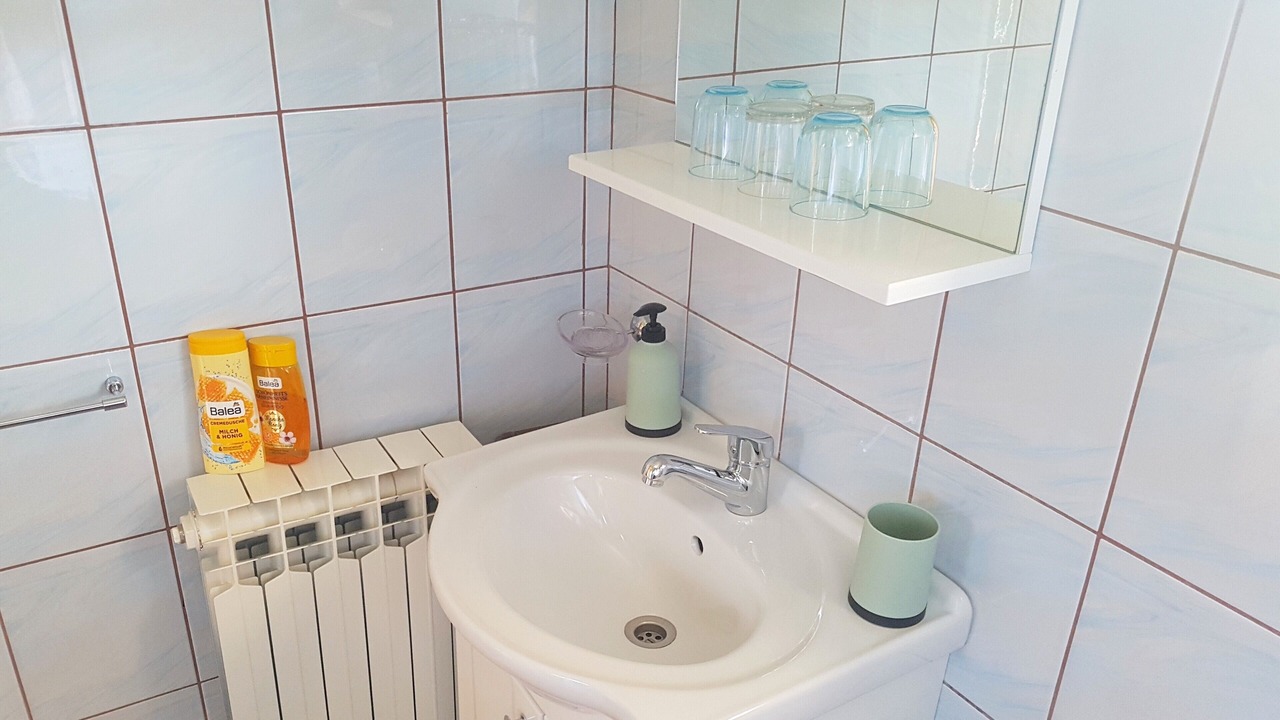 Photo of Bathroom in Seliste Dreznicko