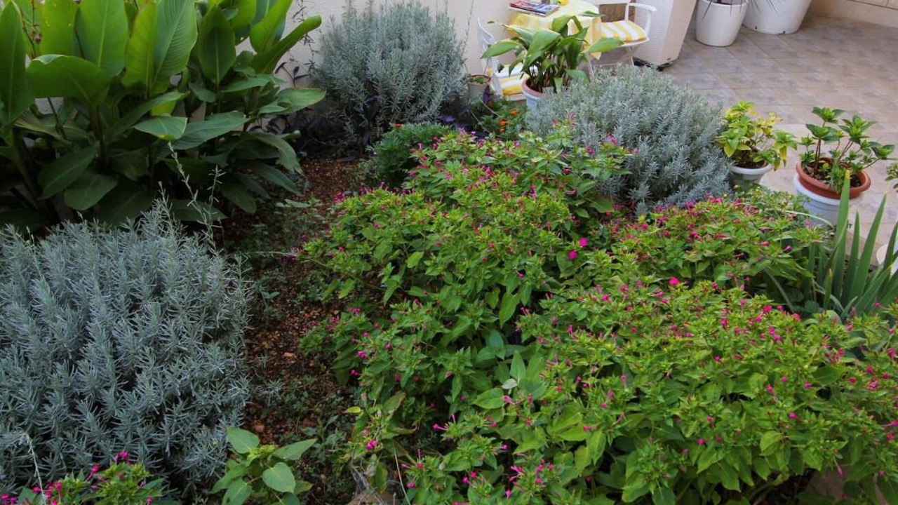 Photo of Outdoor in Bidol