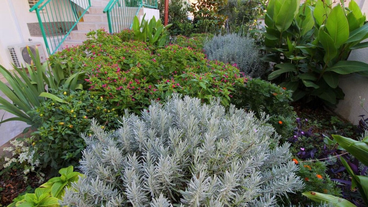 Photo of Outdoor in Bidol