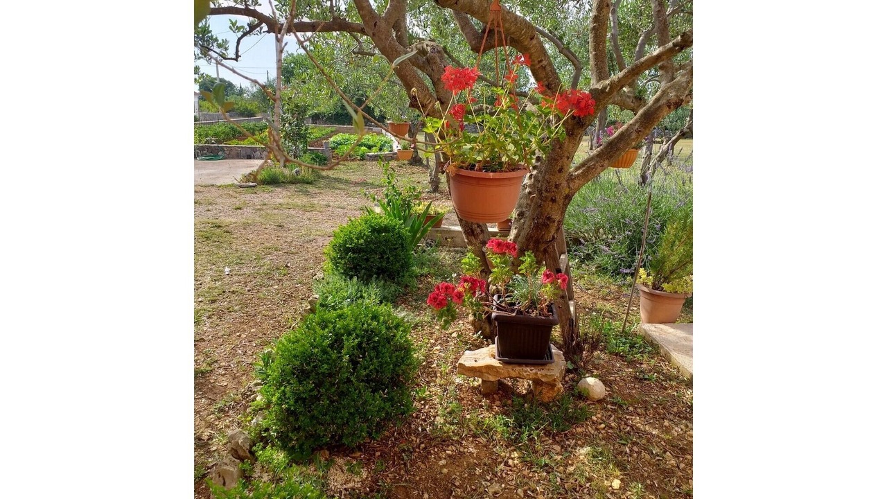 Photo of Outdoor in Bristane