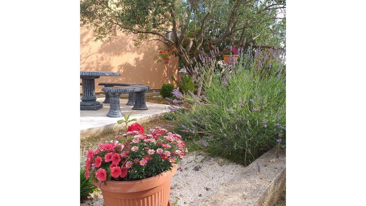 Photo of Outdoor in Bristane