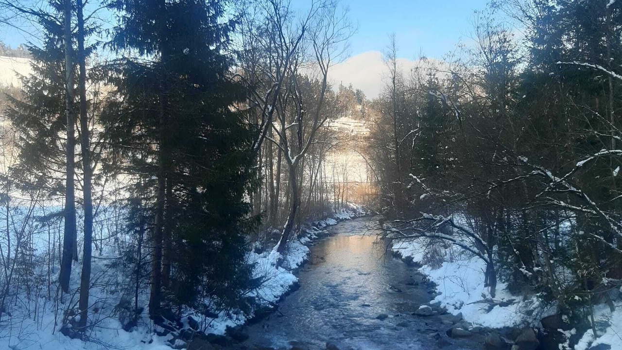 Photo of Outdoor in Poljana