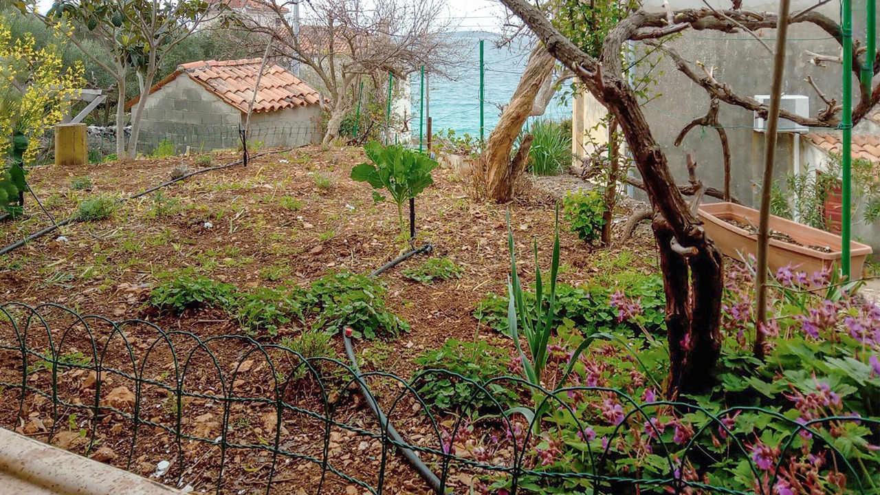 Photo of Outdoor in Martinscica
