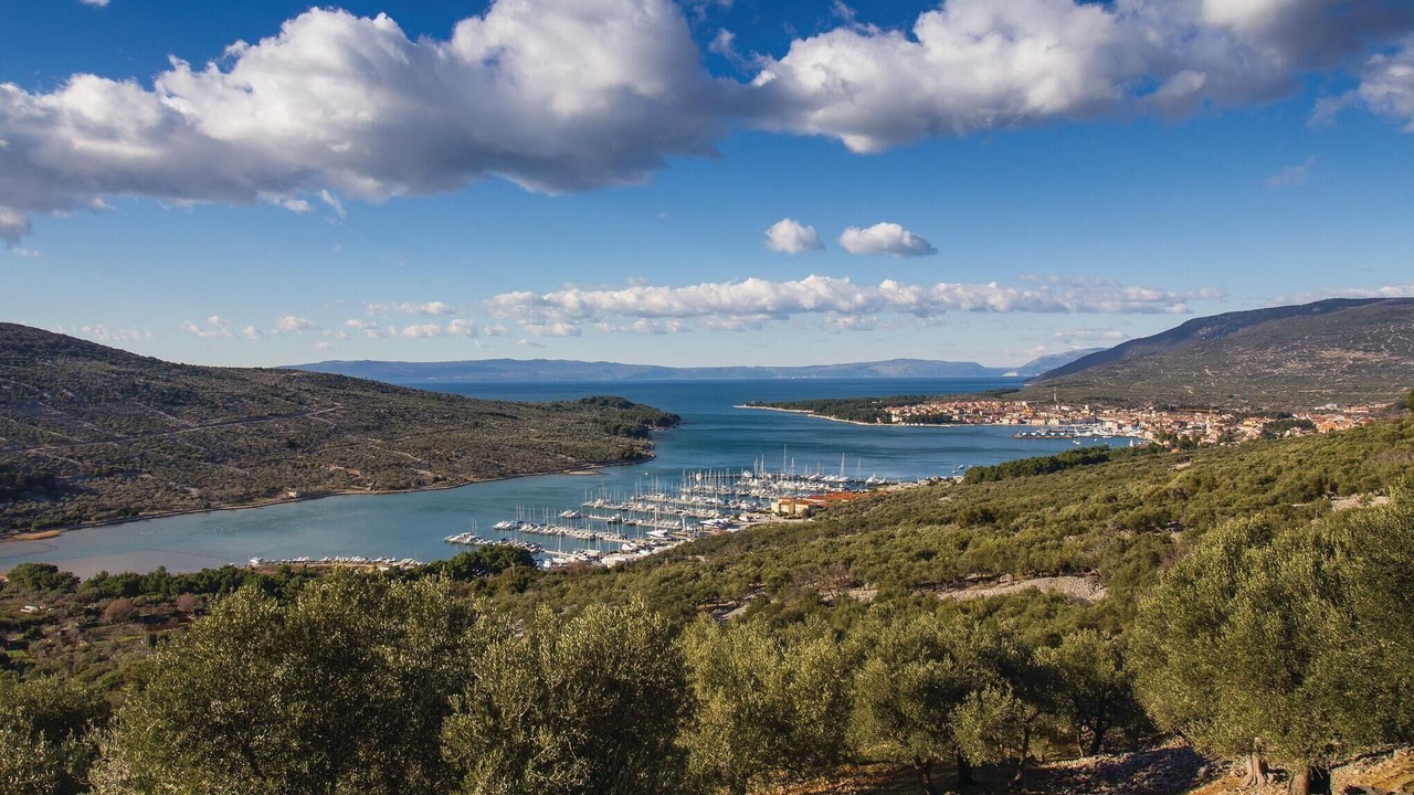 Photo of Others in Martinscica