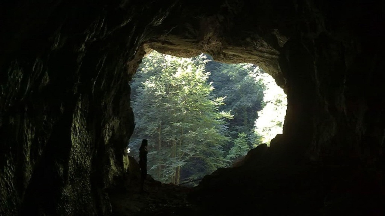 Photo of Others in Brod Moravice