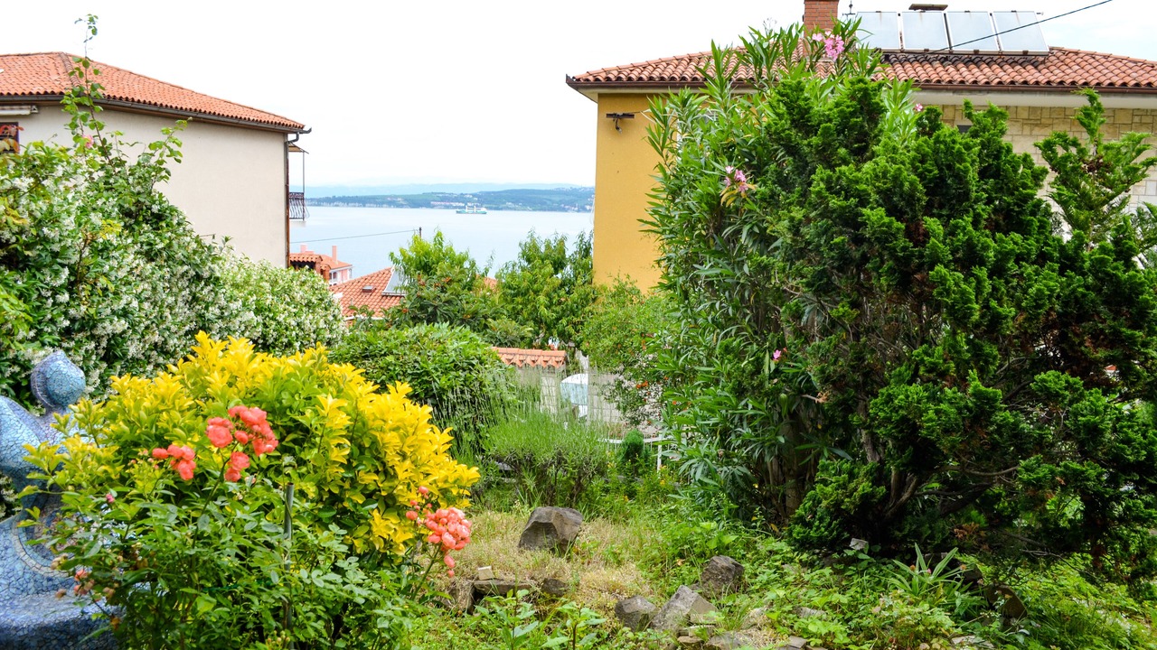 Photo of Outdoor in Koper