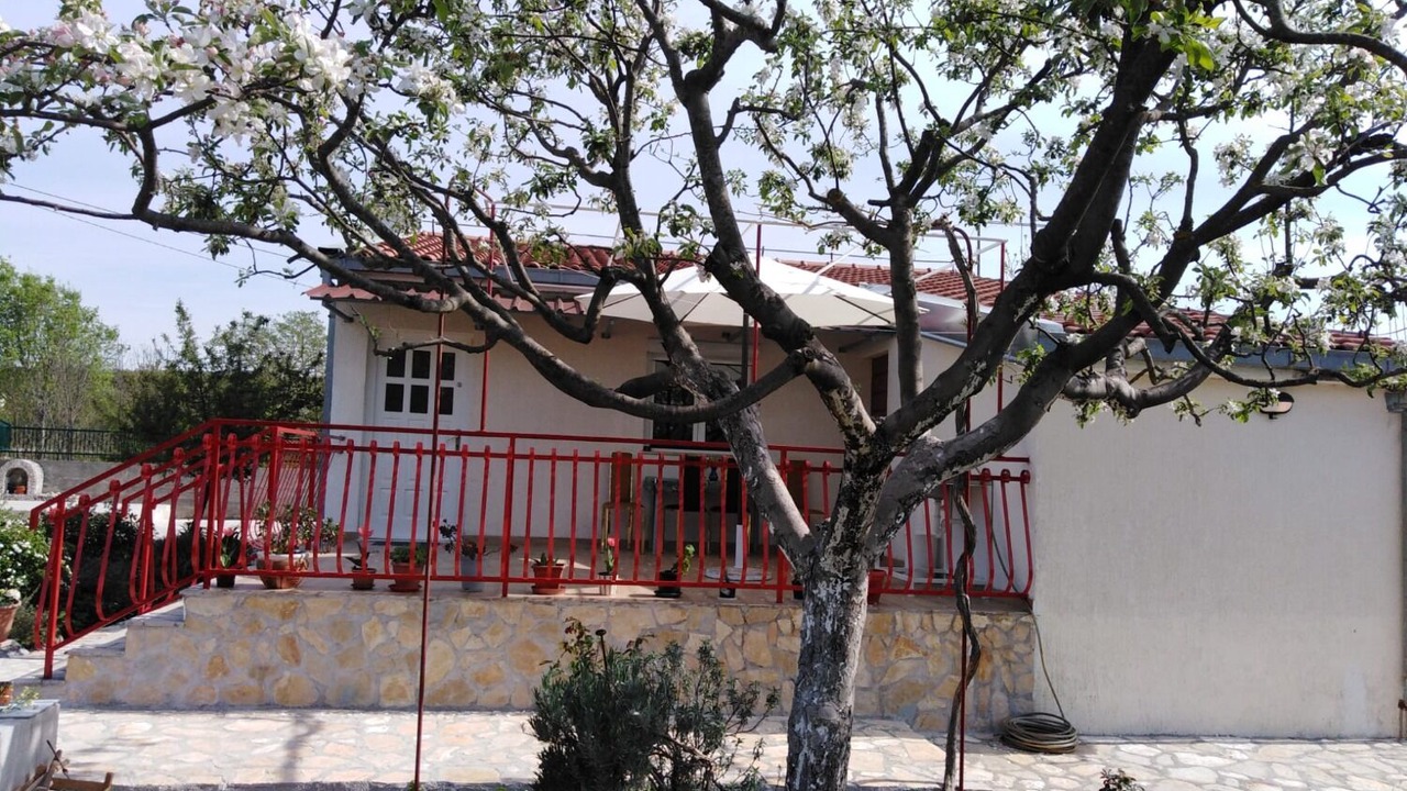Photo of Outdoor in Srijane