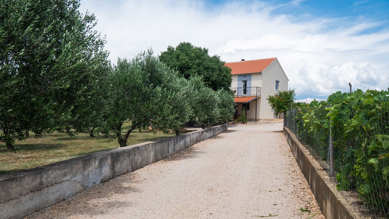 Photo of Outdoor in Tinj