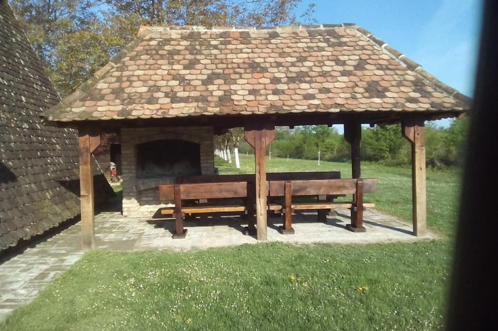 Photo of Outdoor in Inland Croatia