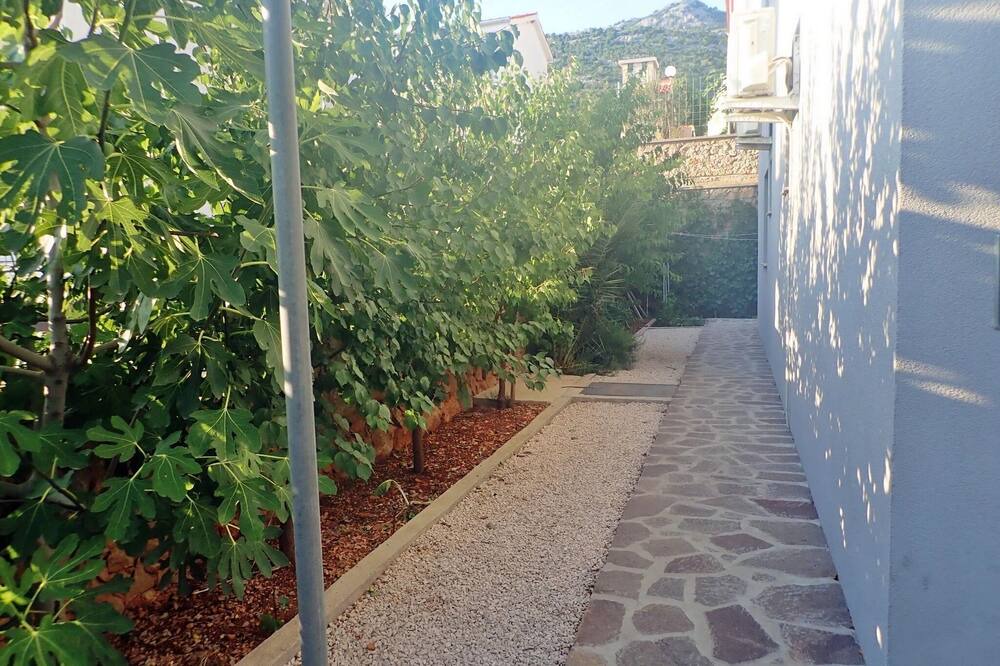 Photo of Outdoor in Seline
