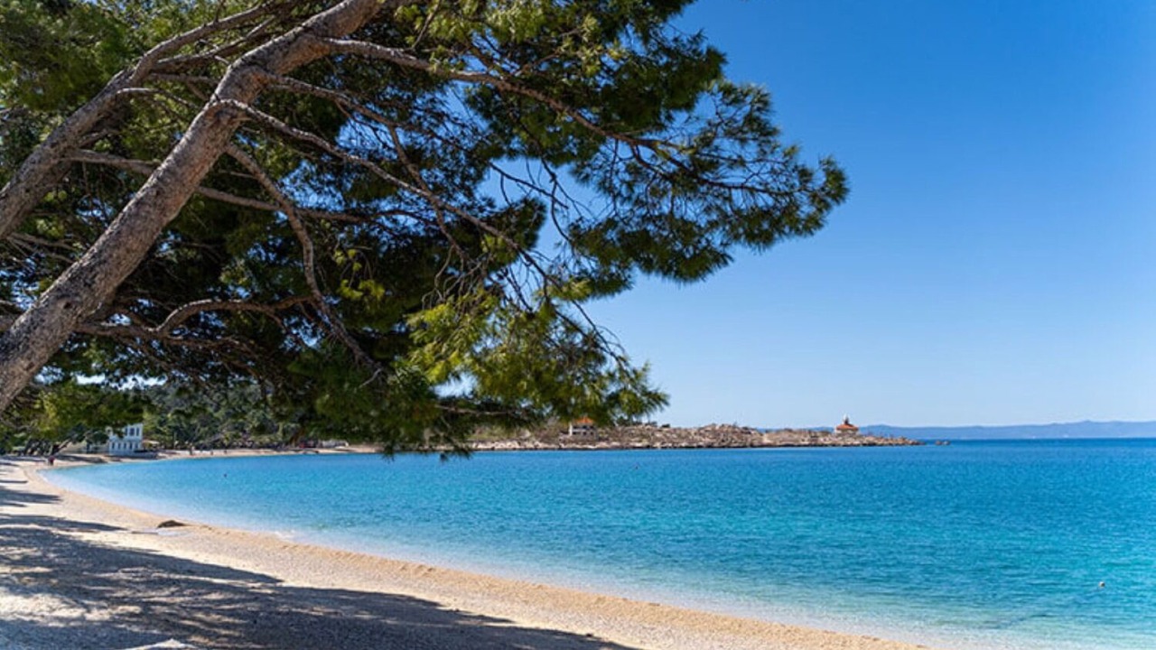 Photo of Others in Donja luka