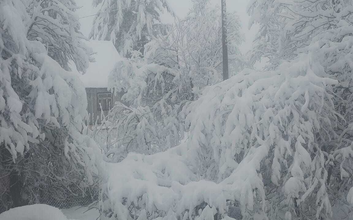 Photo of Outdoor in Plaski