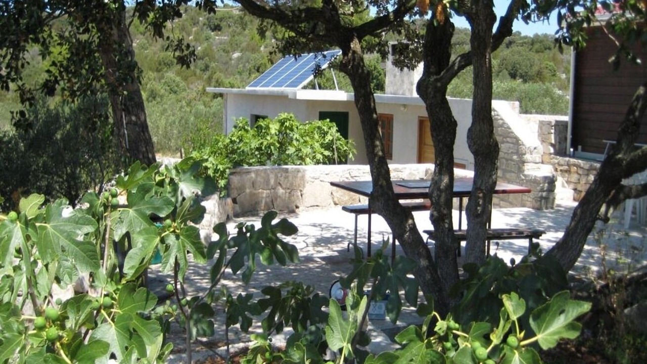 Photo of Outdoor in Zirje