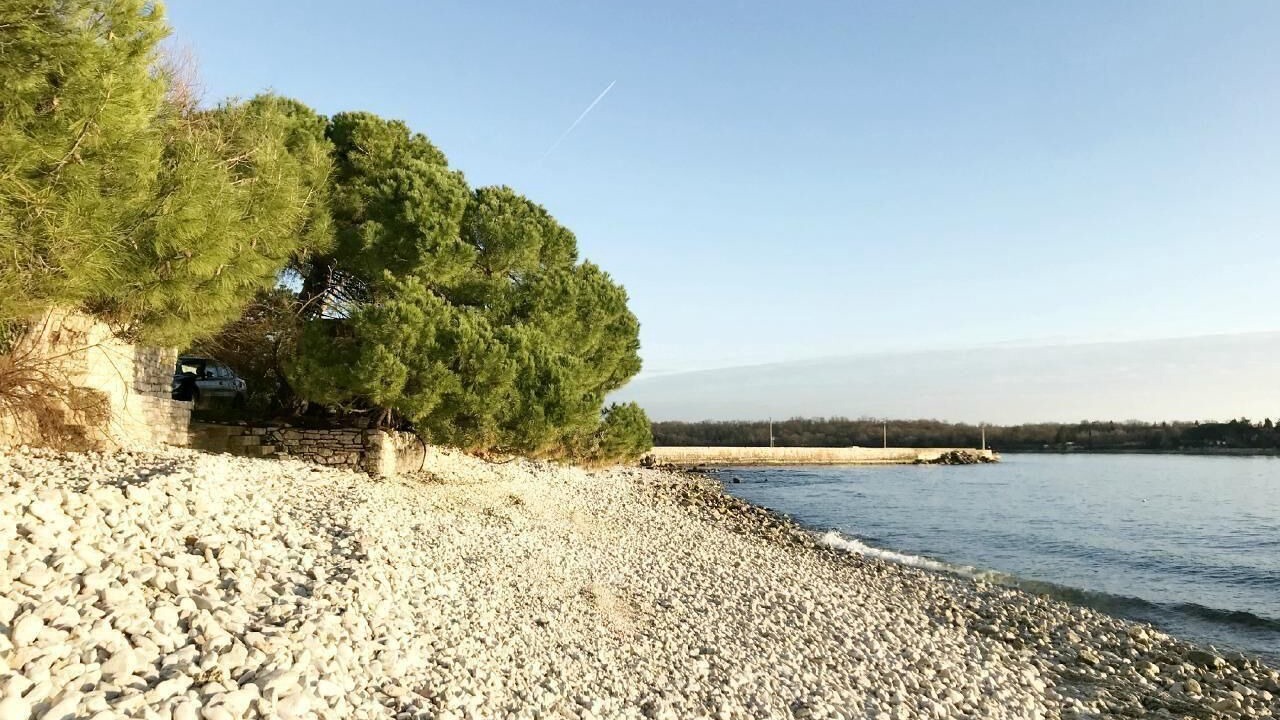 Photo of Others in Babici