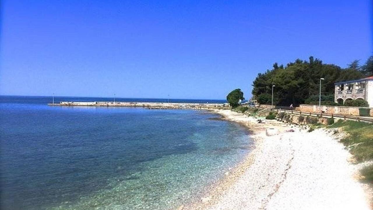 Photo of Others in Babici