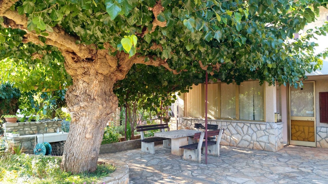 Photo of Outdoor in Babici