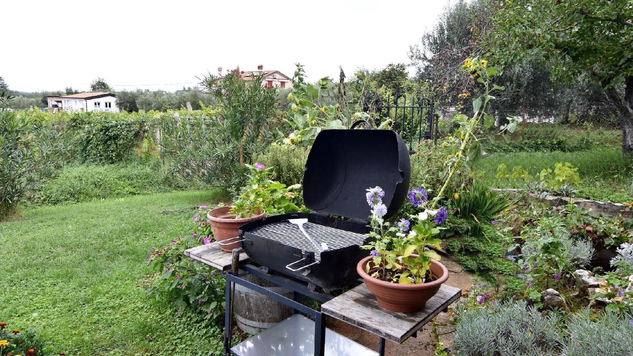 Photo of Outdoor in Babici