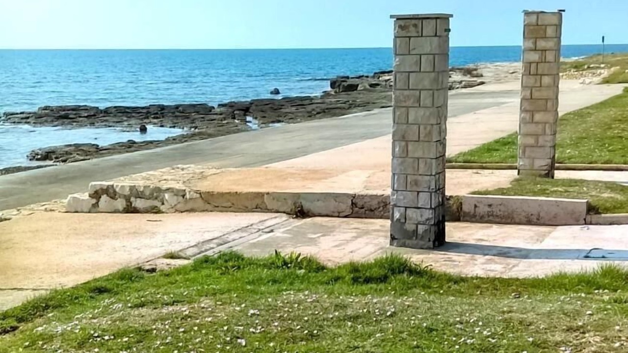 Photo of Others in Đuba