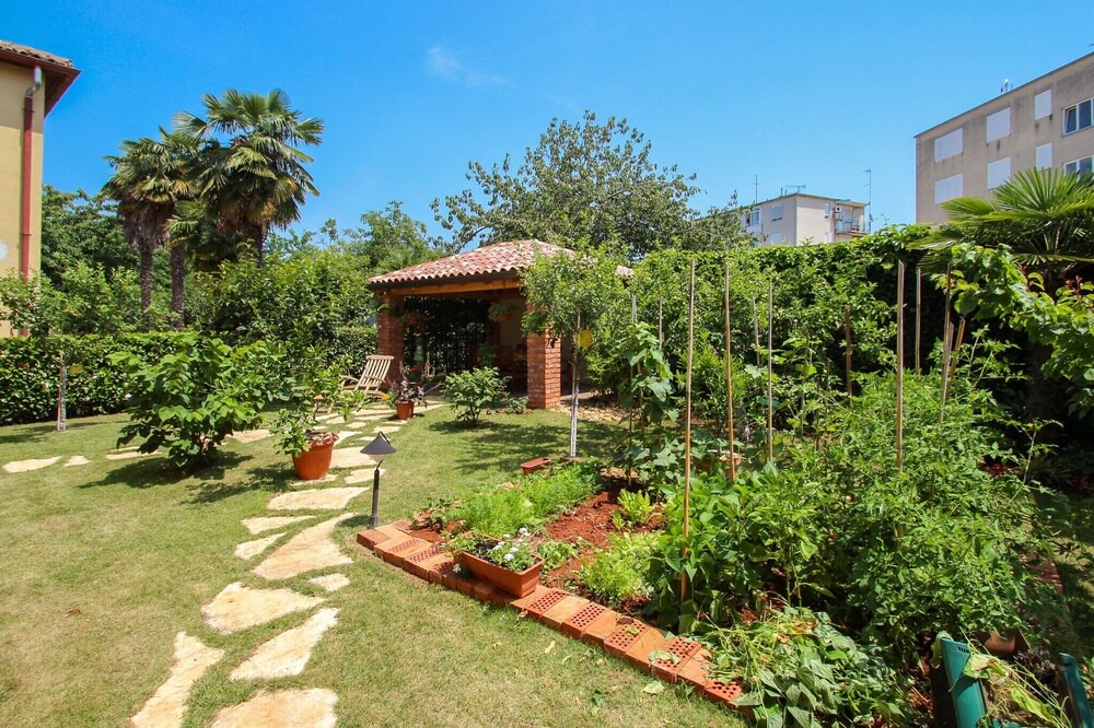 Photo of Outdoor in Novigrad