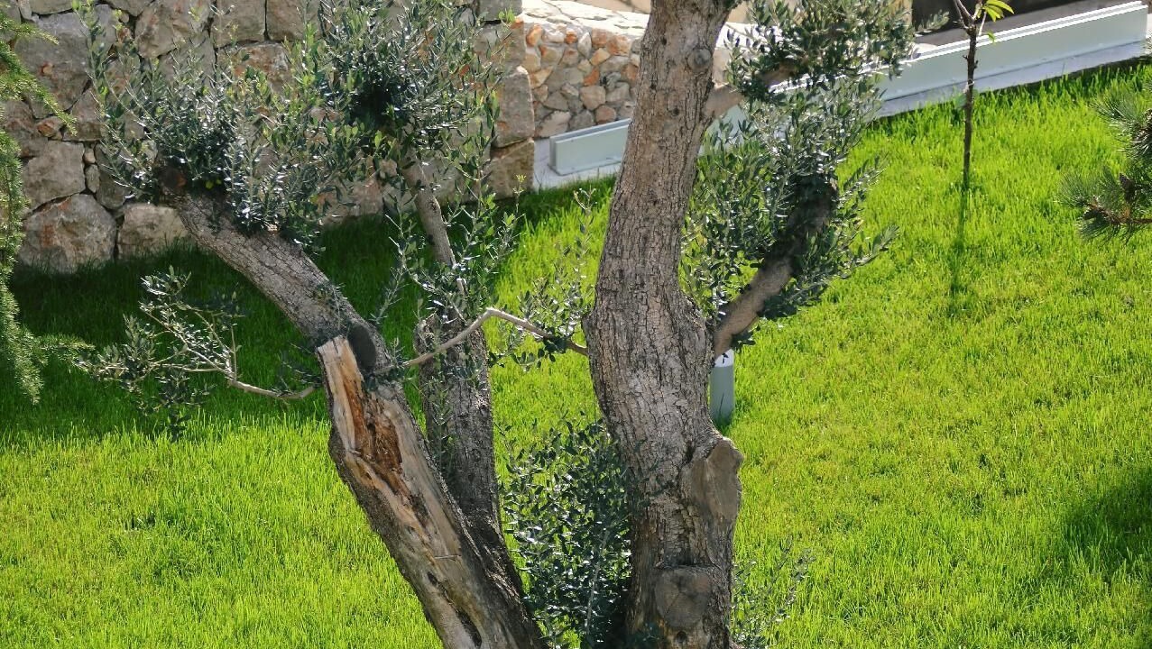 Photo of Outdoor in Klanfari