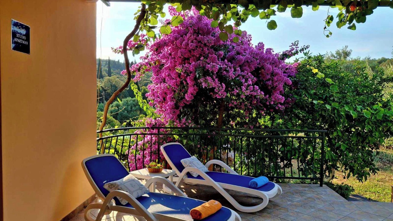 Photo of Patio Balcony in Molunat