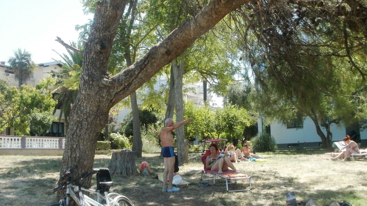 Photo of Outdoor in Bibinje