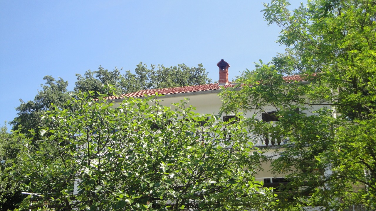 Photo of Outdoor in Soline