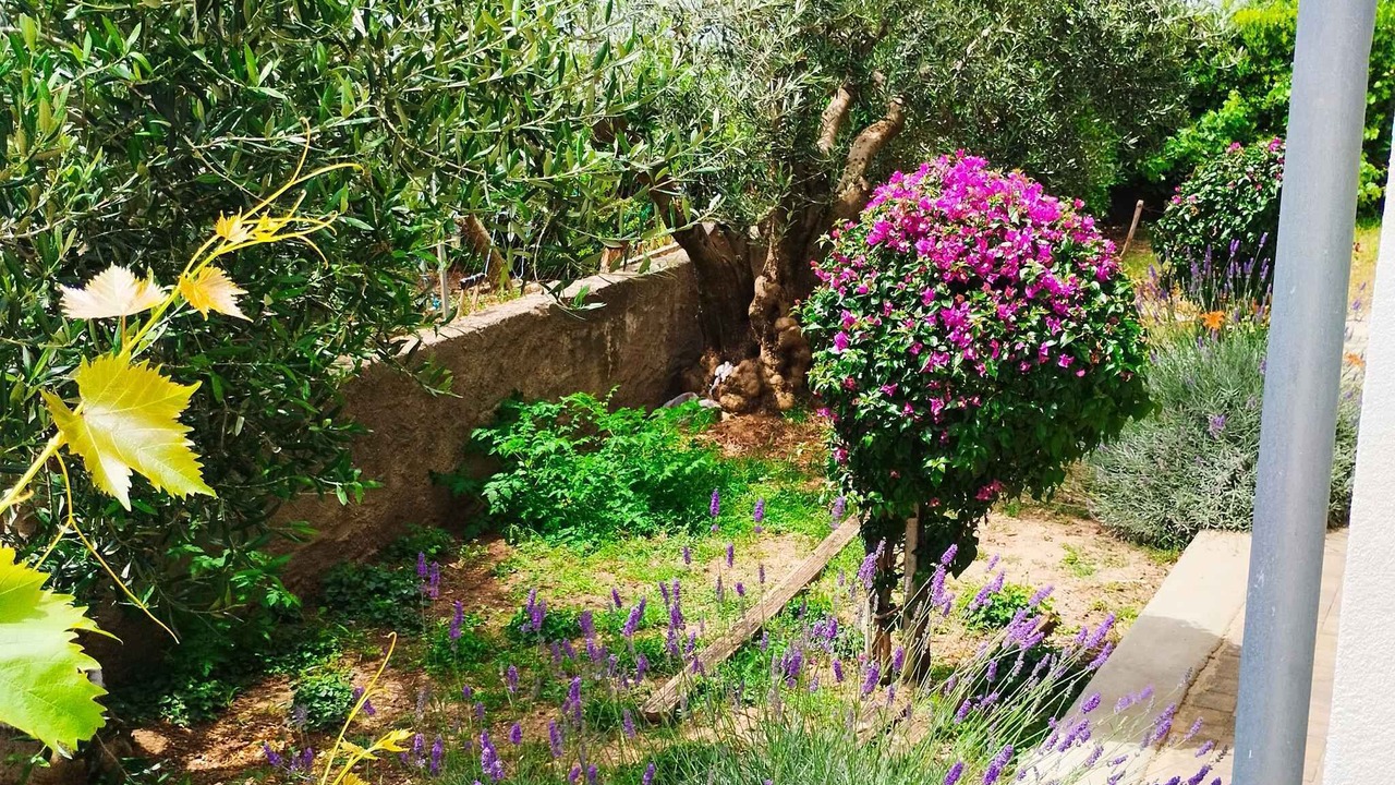 Photo of Outdoor in Rtina