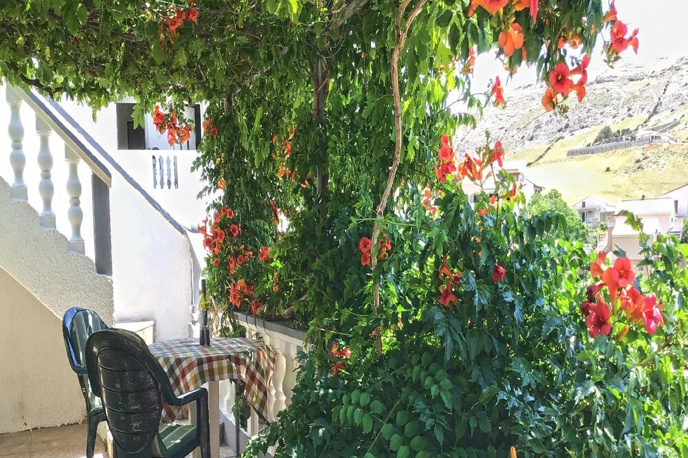 Photo of Outdoor in Metajna