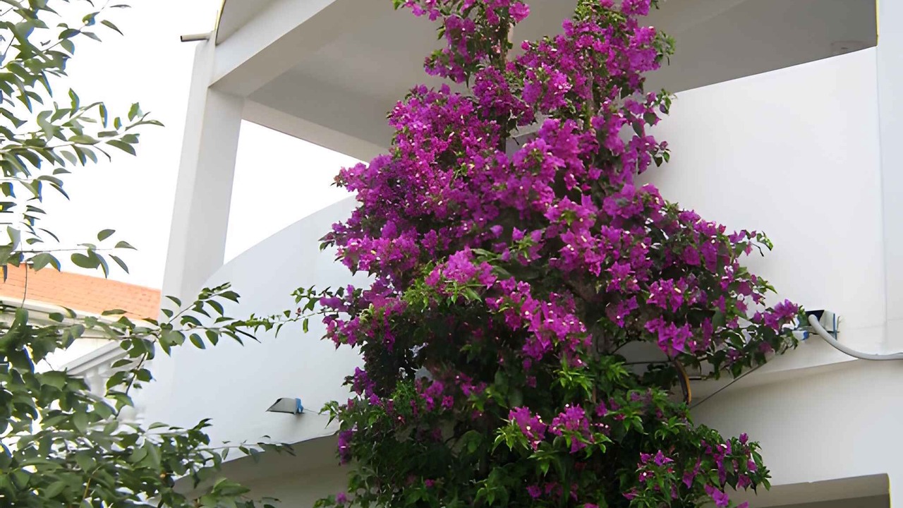 Photo of Outdoor in Rtina