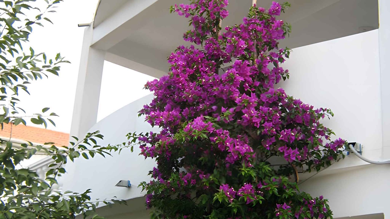 Photo of Outdoor in Rtina