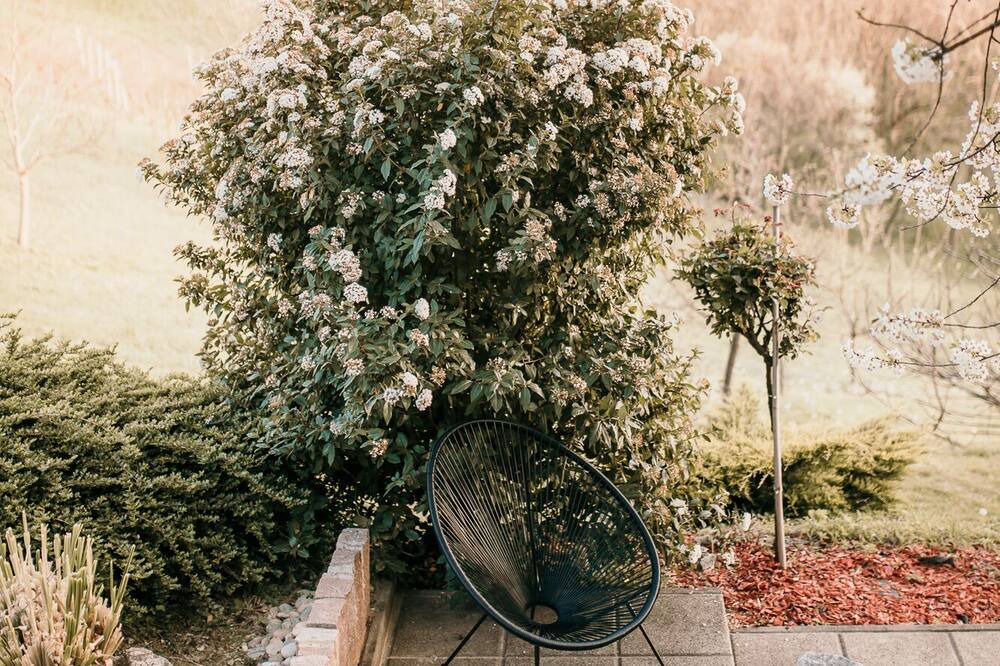 Photo of Outdoor in Sveti Martin na Muri