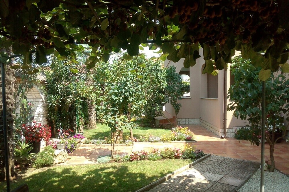 Photo of Outdoor in Porec