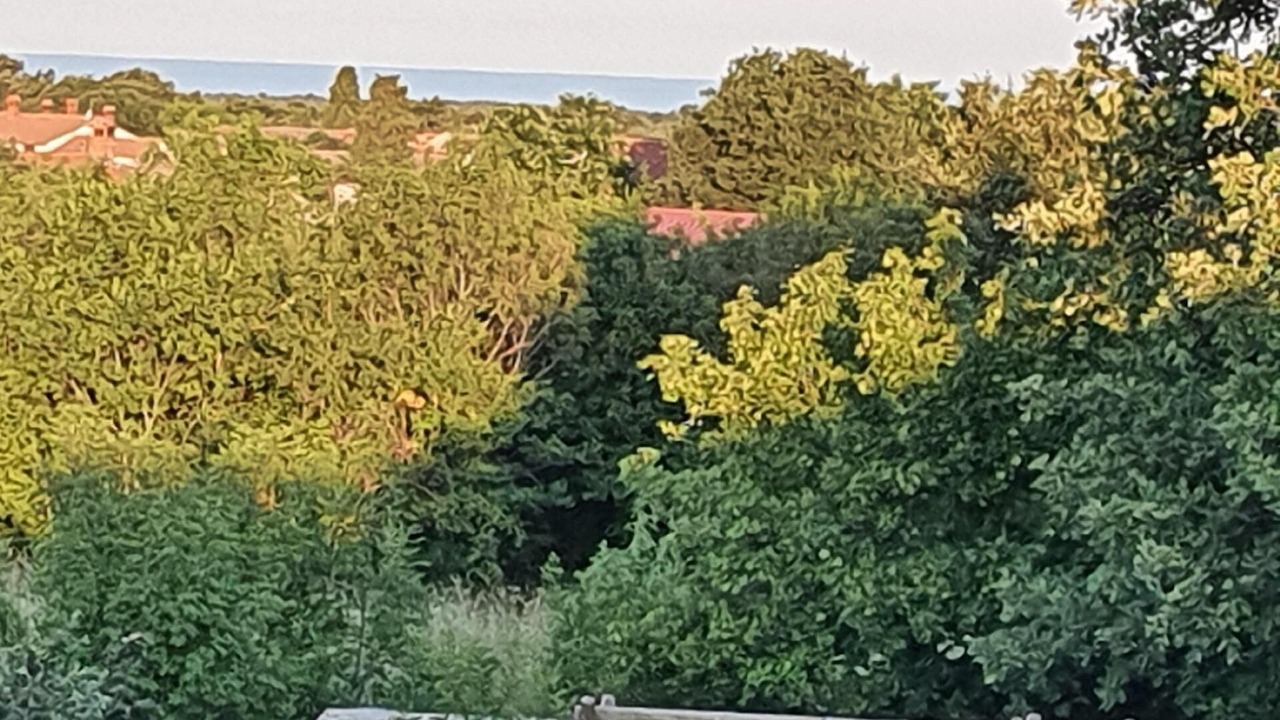 Photo of Others in Cabrunici