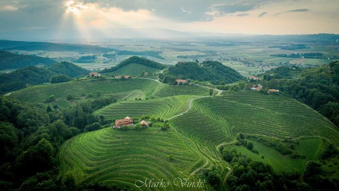 Photo of Outdoor in Videm
