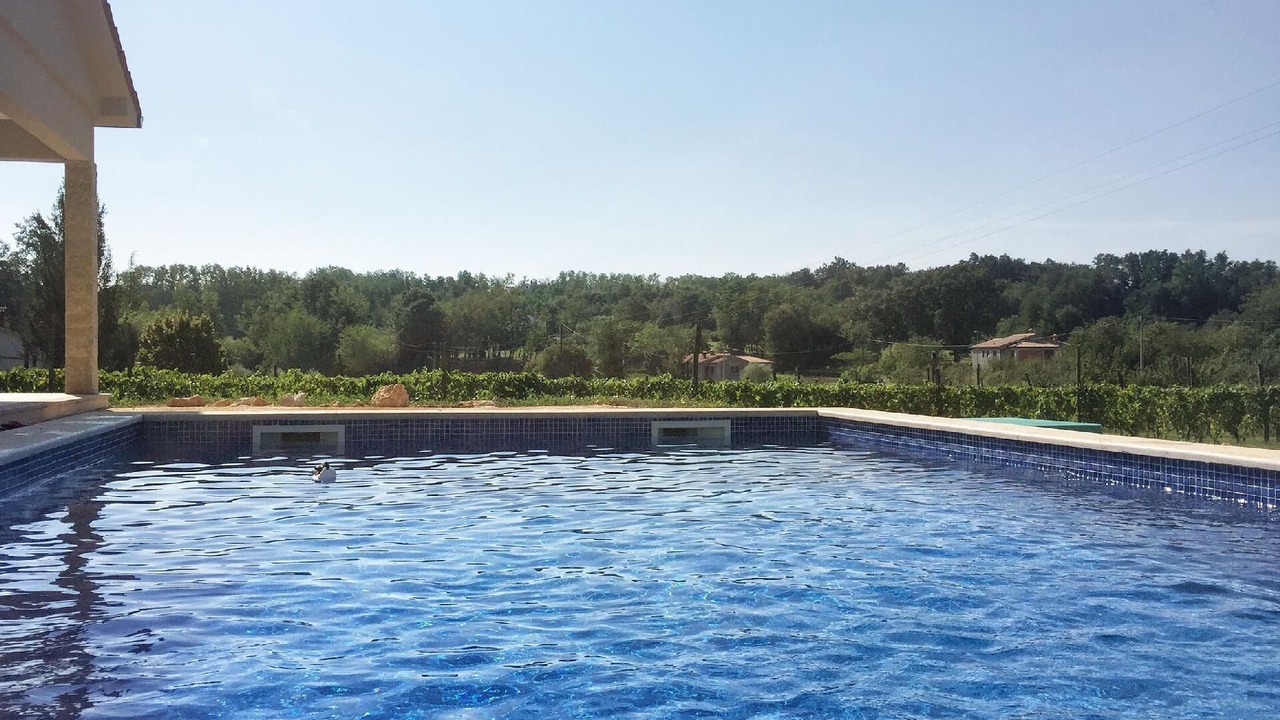 Photo of Outdoor in Zupanici