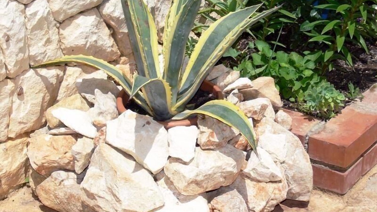 Photo of Outdoor in Kamen