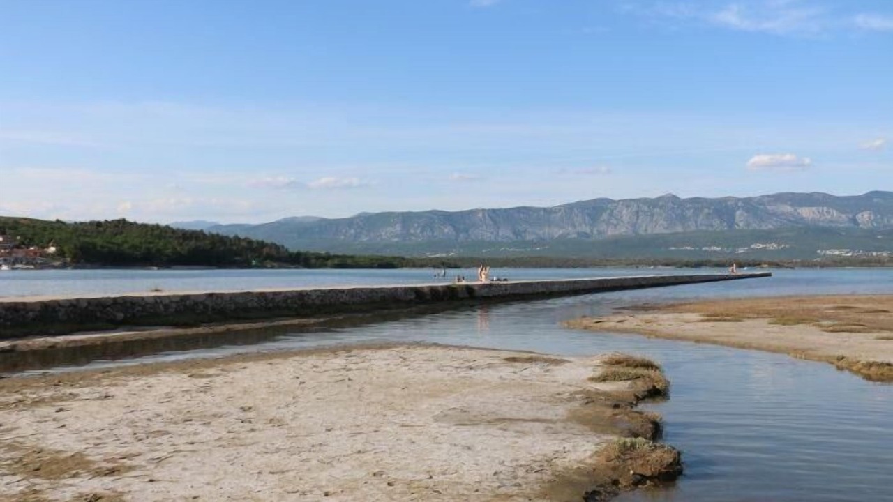 Photo of Others in Soline